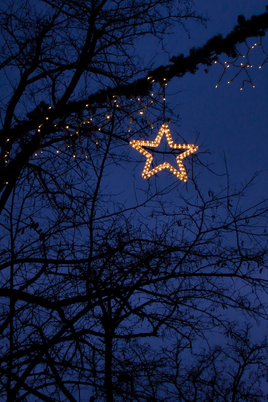 Merry Christmas!