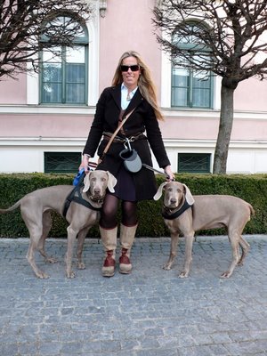 Lady With Her Two Beautiful Weimaraner – Munich, Wittelsbacherplatz
